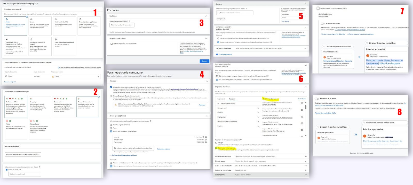 Captures du paramétrage de la campagne Google Ads Search